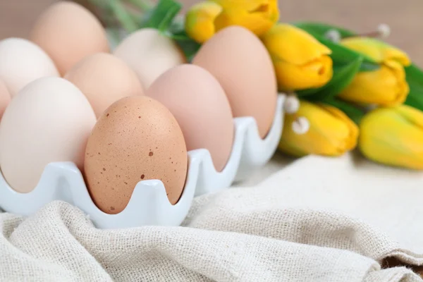 茶色の鶏の卵とチューリップ — ストック写真