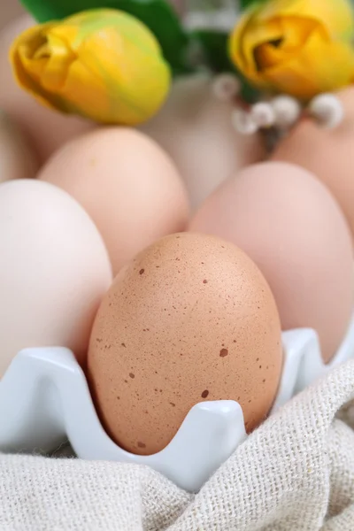 Kahverengi tavuk yumurtası ve laleler — Stok fotoğraf