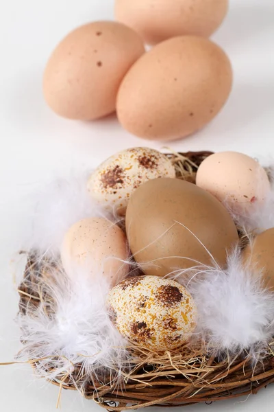 Bruin Pasen als kip eieren — Stockfoto