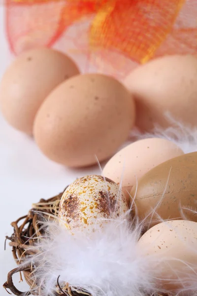 Hnědé kuře a velikonoční vajíčka — Stock fotografie