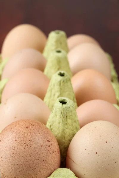 Hnědá vejce v krabici — Stock fotografie