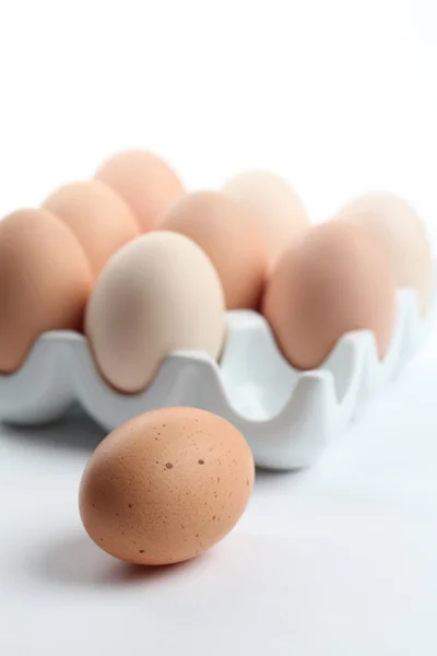 Suporte de ovo de cerâmica com ovos de galinha marrom — Fotografia de Stock