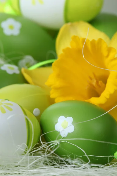 Ovos de Páscoa verdes e narciso — Fotografia de Stock