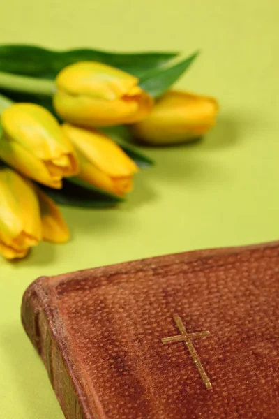 Holy Bilbe and yellow tulips — Stock Photo, Image
