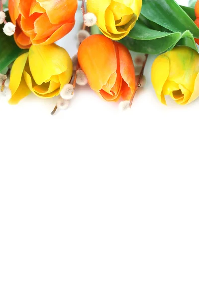 Bordo di tulipani arancione e giallo — Foto Stock