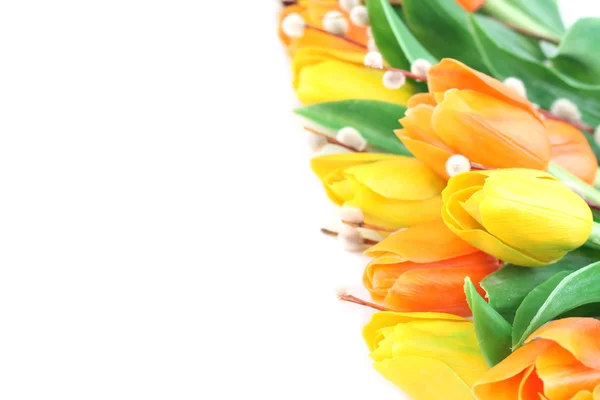 Fronteira das tulipas laranja e amarela — Fotografia de Stock