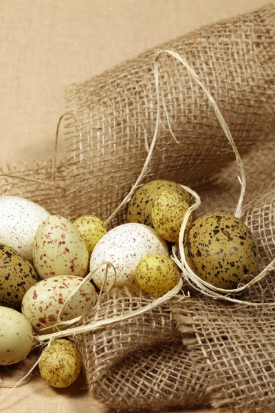 Пасхальні яйця перепелині — стокове фото