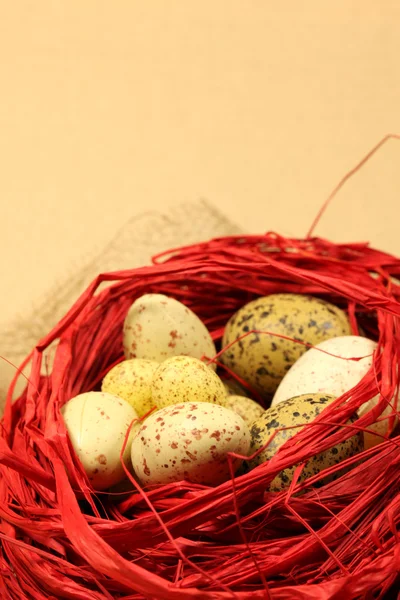 Codorniz Ovos de Páscoa em um ninho vermelho — Fotografia de Stock
