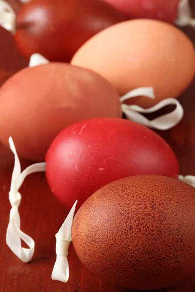 Conchas de huevo rojo y marrón — Foto de Stock