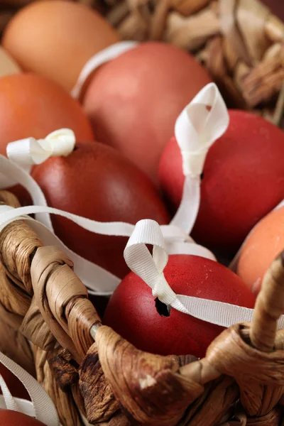 Kırmızı ve kahverengi yumurta kabukları — Stok fotoğraf