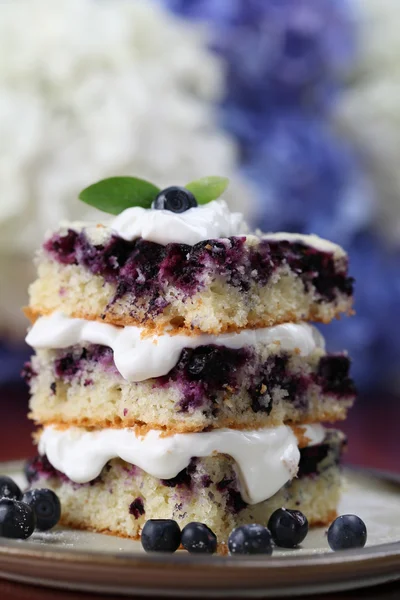 Blueberry cake with whipped cream — Stock Photo, Image