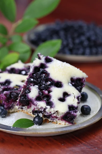 蓝莓海绵蛋糕 — 图库照片