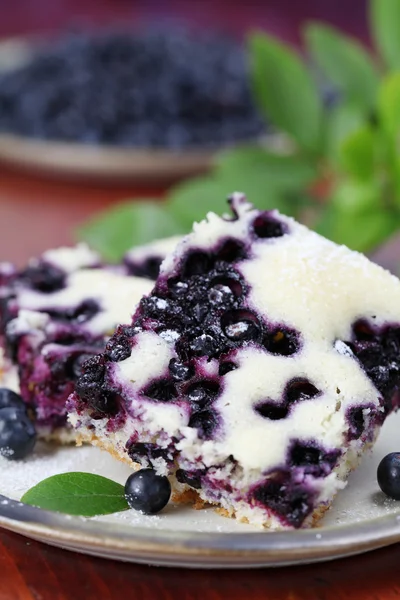 蓝莓海绵蛋糕 — 图库照片