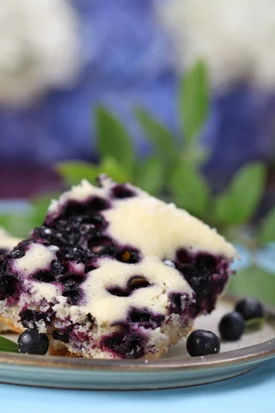 Blueberry spons cake — Stockfoto