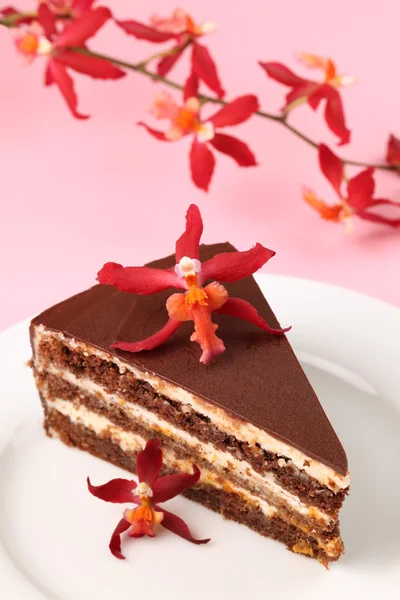 Schokoladenkuchen mit Käse und Marillenmarmelade — Stockfoto