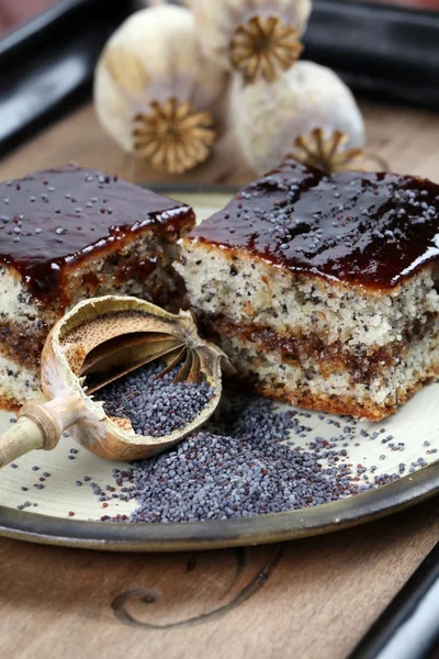 stock image Poppy seed sponge cake with plum jam