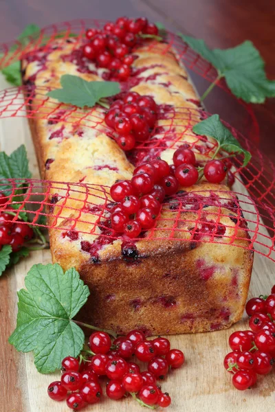 Торт з губкою червоної смородини — стокове фото