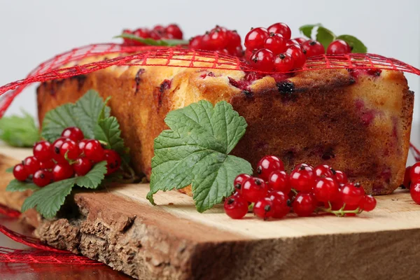 Červený rybíz piškotový dort — Stock fotografie