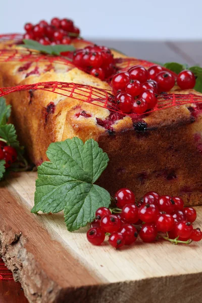 甘酸っぱい赤すぐりのスポンジ ケーキ — ストック写真