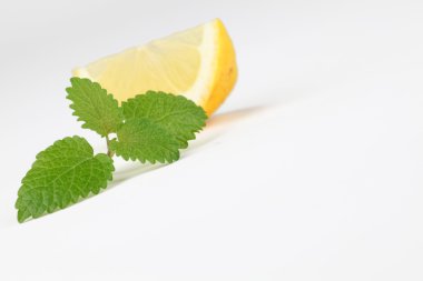 Lemon balm and lemon clipart