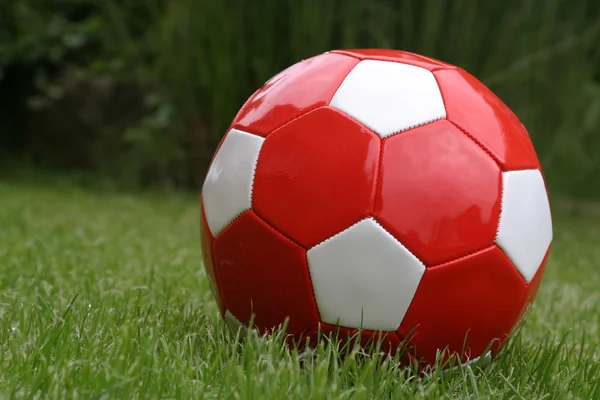 stock image Red soccer ball