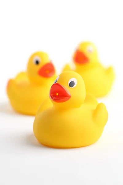 stock image Rubber ducklings