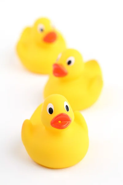 stock image Rubber ducklings