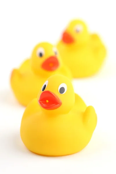 stock image Rubber ducklings