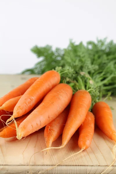 stock image Carrots