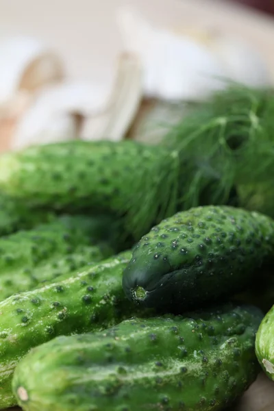 Komkommers en dille — Stockfoto