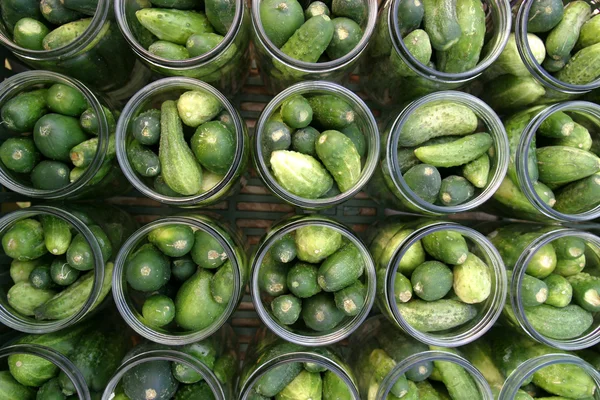 Att göra pickles — Stockfoto