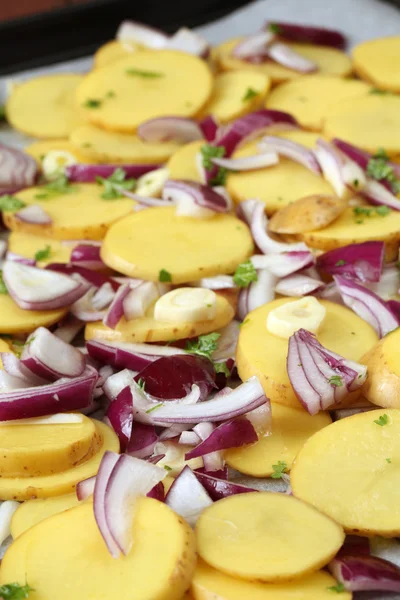 原料土豆配红洋葱、 大蒜、 香菜 — 图库照片