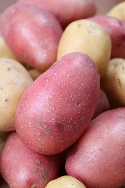 Kırmızı ve Beyaz Patates — Stok fotoğraf