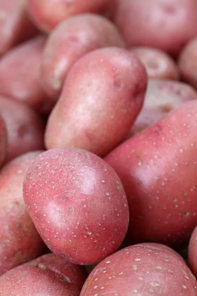 Rote Kartoffeln — Stockfoto