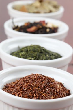 çay toplama - rooibos