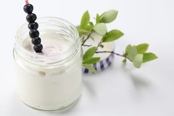 Yogurt with wild blueberries — Stock Photo, Image