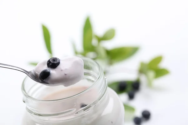 Yoghurt met wilde bosbessen — Stockfoto