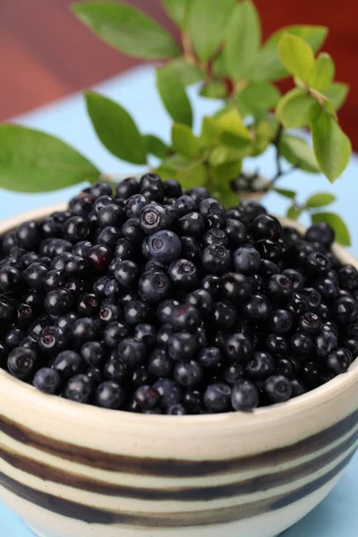 Wild blueberries — Stock Photo, Image