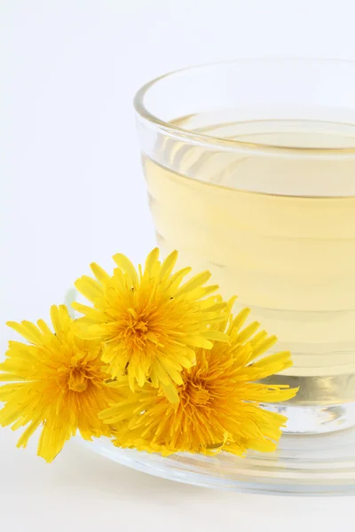 Dandelion herbata — Zdjęcie stockowe