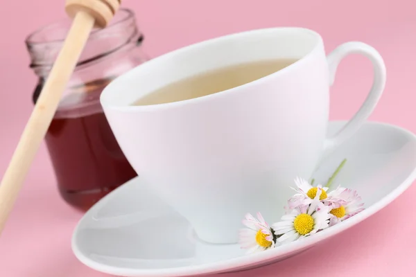 Herbaty ziołowe z stokrotki i miód — Zdjęcie stockowe