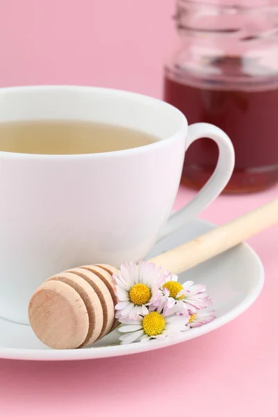 Herbal tea with daisies and honey — Stock Photo, Image