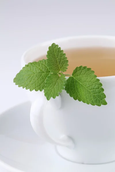 Lemon balm tea — Stock Photo, Image