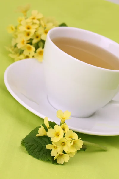 Primrose tea — Stock Photo, Image