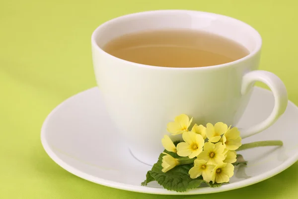 Chá de primrose — Fotografia de Stock