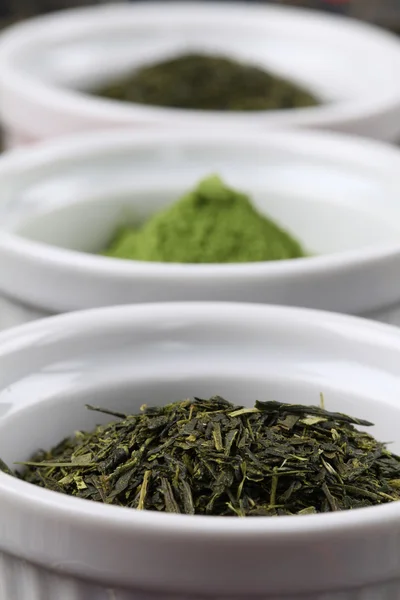 Tea collection - Saher eller sencha grönt te — Stockfoto