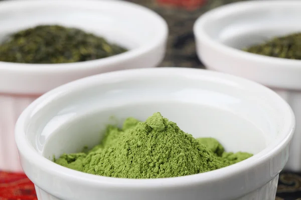 Tea collection - matcha grönt te pulver — Stockfoto