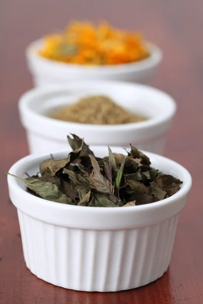 Collection de thé - menthe — Photo