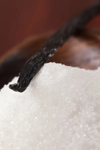 Vanilla bean on caster sugar — Stock Photo, Image