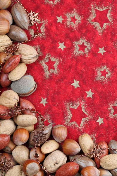 Nut Christmas border — Stock Photo, Image