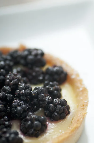 Citroen blackberry taart — Stockfoto
